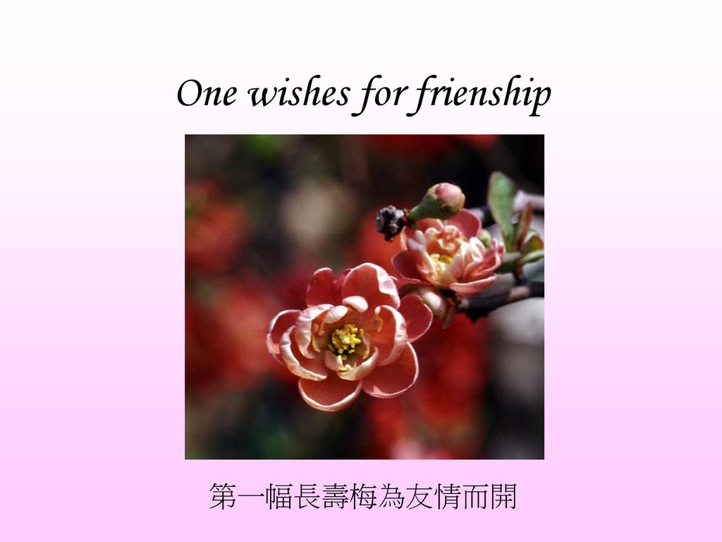 One wishes for frienship