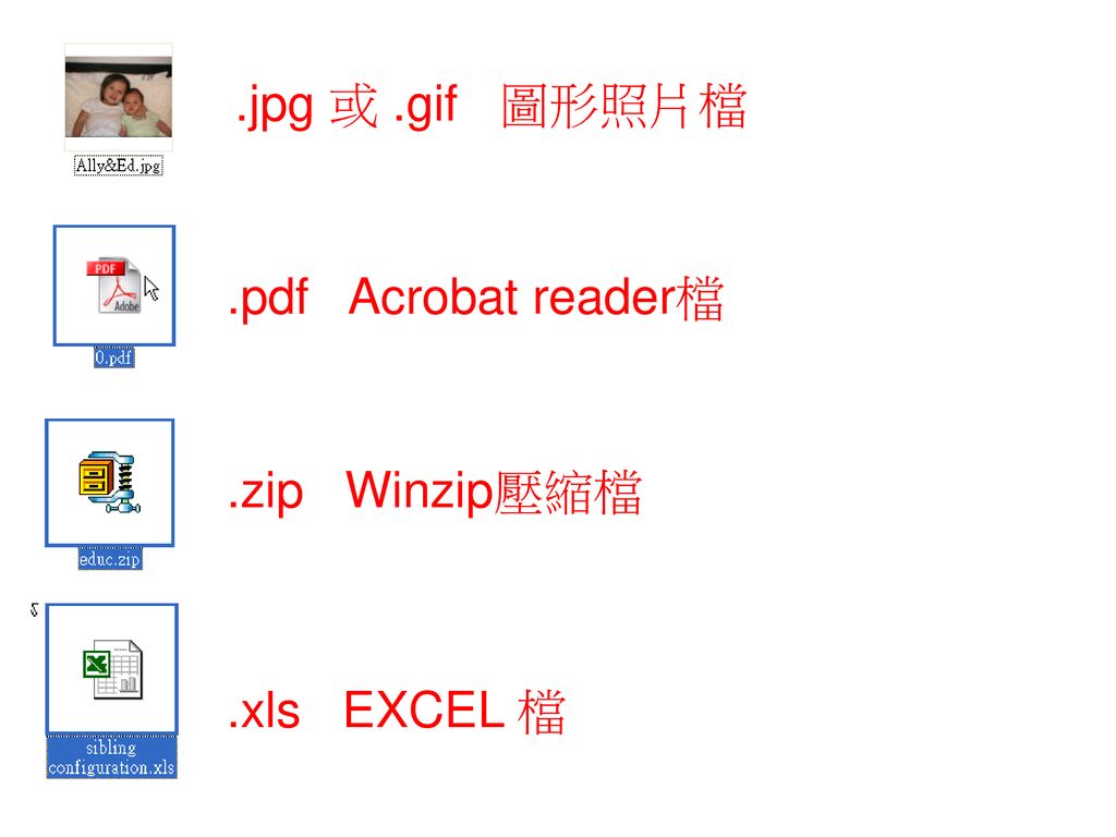 .jpg 或 .gif 圖形照片檔 .pdf Acrobat reader檔 .zip Winzip壓縮檔 .xls EXCEL 檔