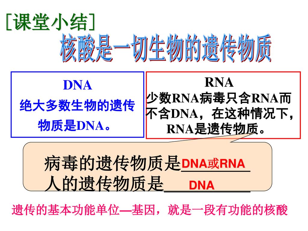 核酸是遗传物质的证据本资料来自于资源最齐全的２１世纪教育网 Ppt Download