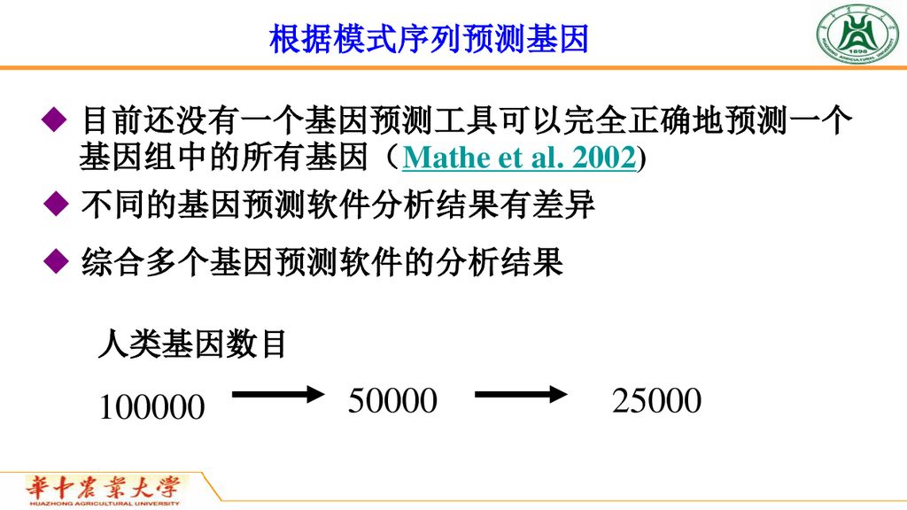 生物信息学第六章基因预测和基因结构分析 Ii Ppt Download