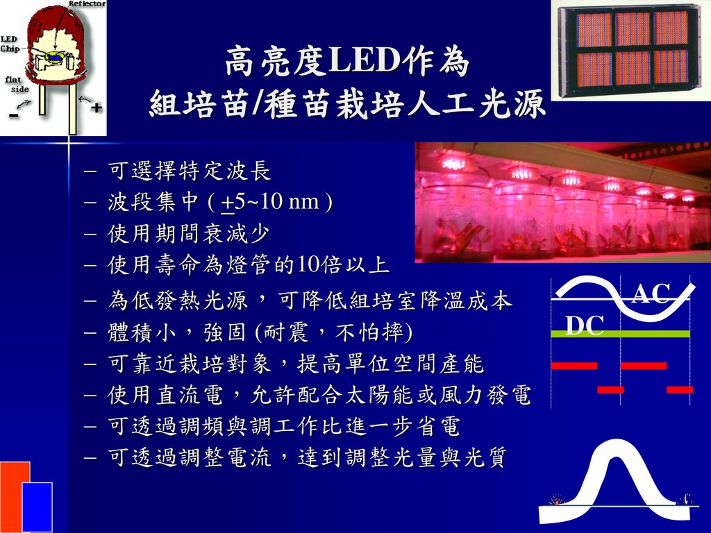 超高亮度紅 藍光led應用於蝴蝶蘭組培苗栽培之研究 Ppt Download