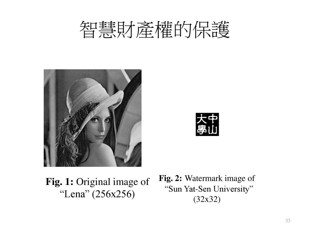智慧財產權的保護 Fig. 1: Original image of Lena (256x256)