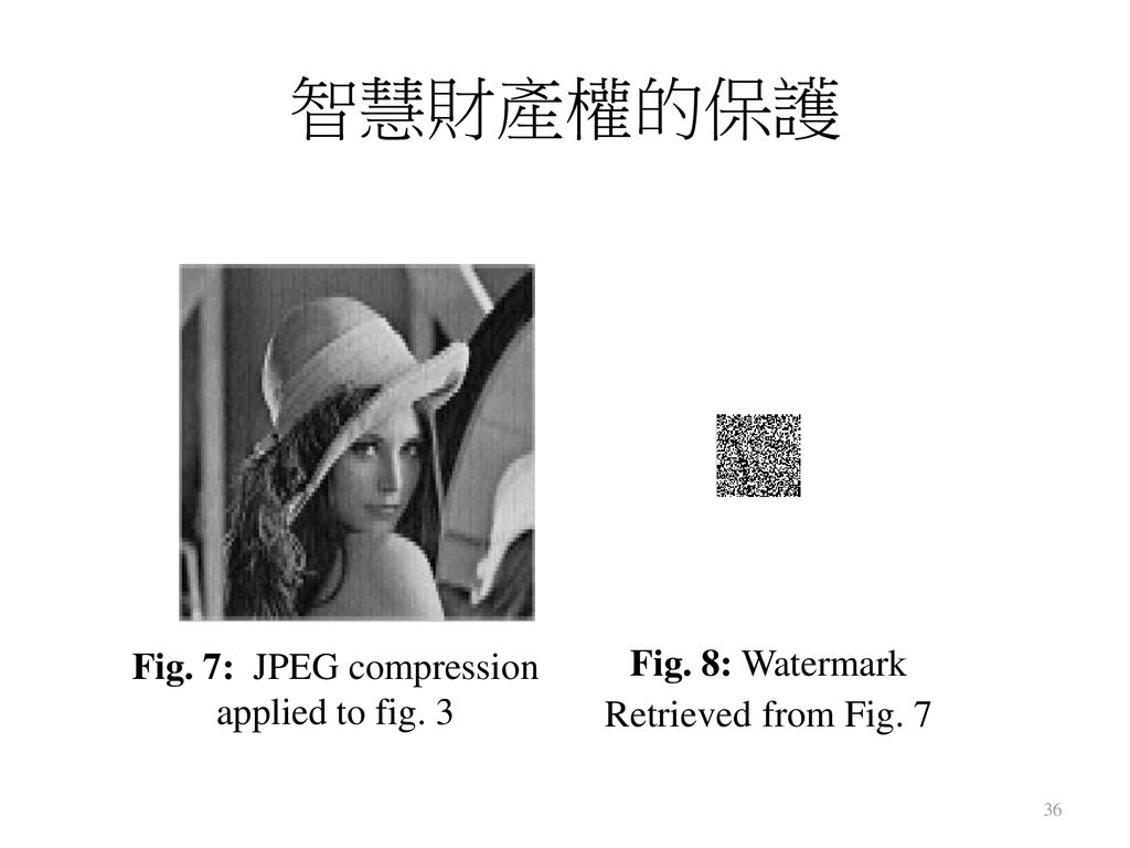 智慧財產權的保護 Fig. 7: JPEG compression applied to fig. 3