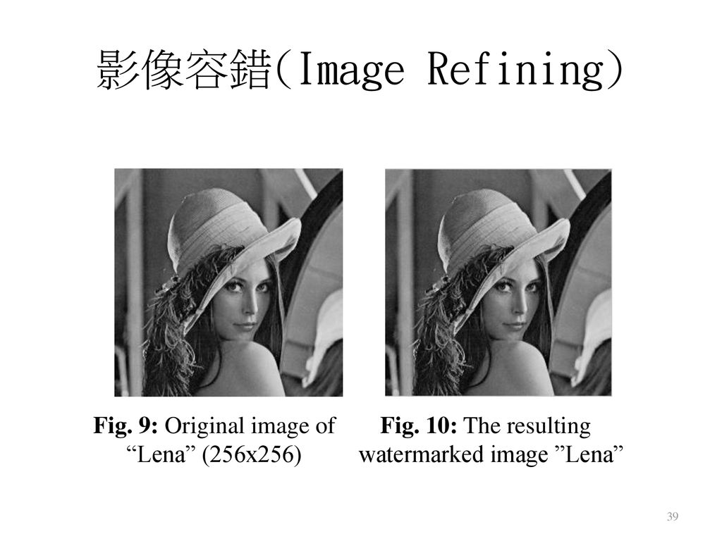 影像容錯(Image Refining) Fig. 9: Original image of Lena (256x256)