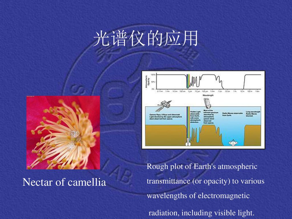 光谱仪的应用 Nectar of camellia Rough plot of Earth s atmospheric
