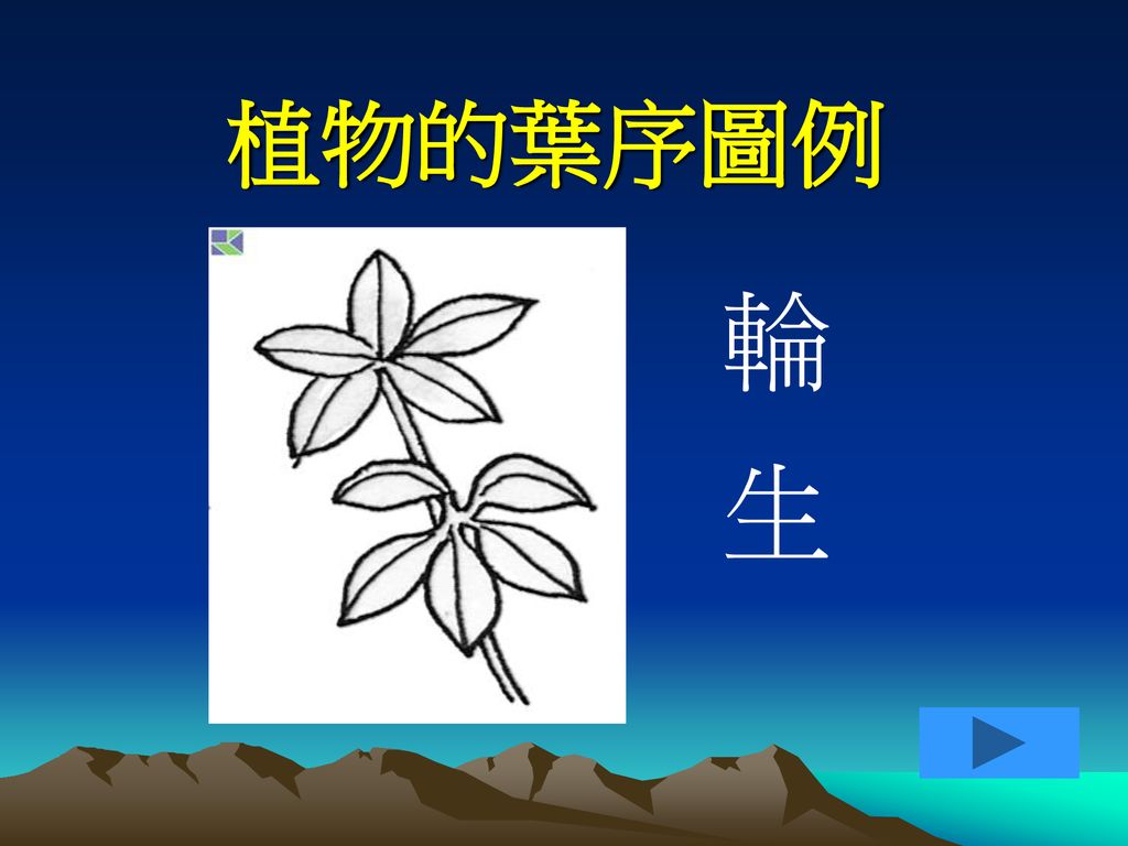 植物的身體 觀察葉子一 葉形圖例二 葉緣圖例三 葉序圖例 以上一 三圖片來源 康軒教學光碟 四 網站連結 Ppt Download