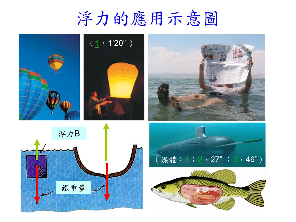 浮力的應用示意圖 魚鰾 鐵重量 浮力B （1，1’20 ） （媒體：1；2，27 ；3，46 ）