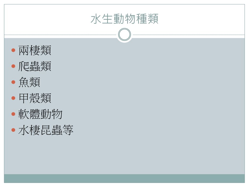 水生動物水中的世界有了植物之後 自然而然的就會引來吃植物的動物 水生植物的種類越多 吃植物的動物種類也就越是五花八門 有了這些動物之後又引來吃動物的動物 水裡的世界就更熱鬧了 Ppt Download